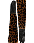 Dolce & Gabbana Leopard Print Leather Elbow Length Gloves
