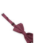 Dolce & Gabbana Papillon Silk Bow Tie - Burgundy