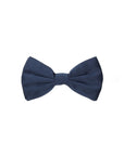 Dolce & Gabbana Papillon Silk Bow Tie - Blue