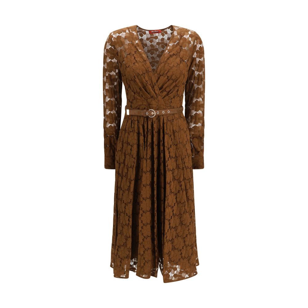 Max Mara Agrume Lace Midi Dress