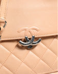 Chanel Quilted Leather Small Flap Bag